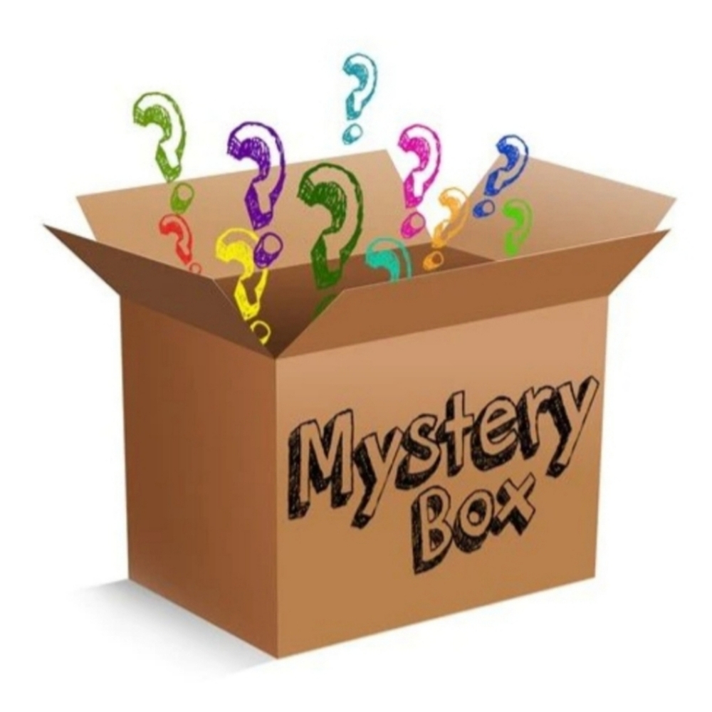 Jewelry Mystery Box Of 5 NWT Items